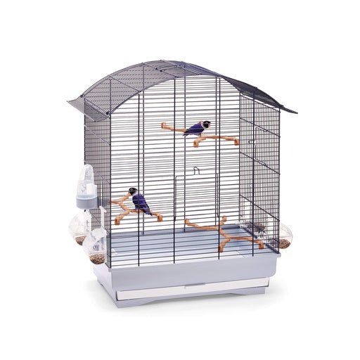 IMAC AGATA Cage 58x33x62,5cm for Canaries, Parakeets and Exotic Birds - BLUE/GHIACCIO - Shopivet.com