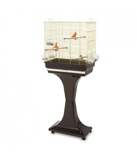 IMAC Camilla Cage for Canaries, Parakeets and Exotic birds[Color - Gold, Dimension - 50 x 30 x 57 - 129cm] - Shopivet.com