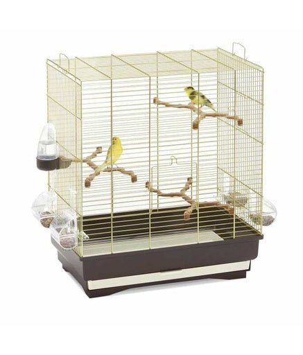 IMAC Carlotta - Bird Cage - 50X30X56CM[Color - Gold] - Shopivet.com