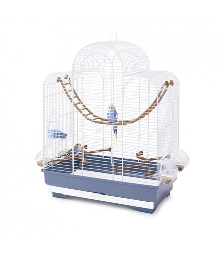 IMAC FIONA - Cage for Canaries, Parakeets and Exotic birds[Dimension - 50x30x65cm] - Shopivet.com