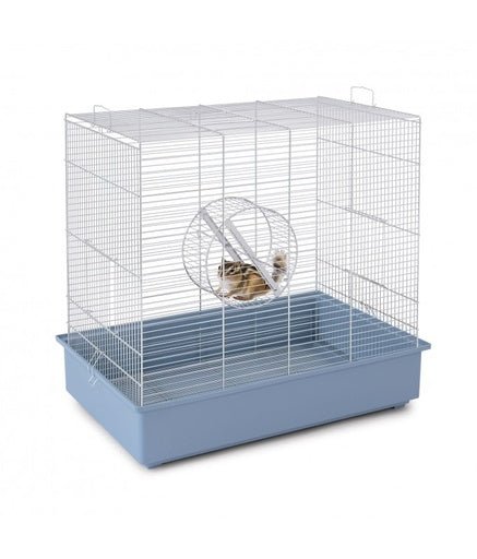 IMAC SCOIATTOLI - Squirrel cage [Dimension - 61x40x56cm] - Shopivet.com