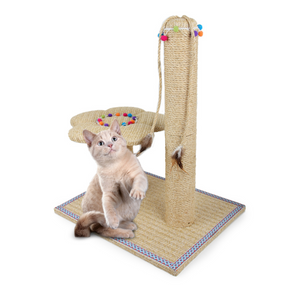 Whisker Fiesta - Flower Cat Scratching Post