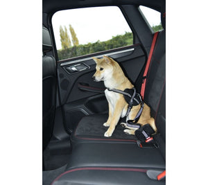 Car Leash 2 in 1 - Red / Medium