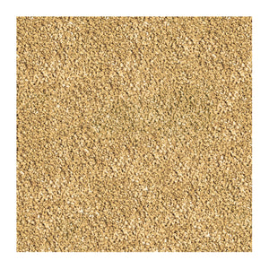 Sera Bettagran Nature[Weight - 10g]