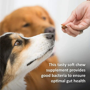 Synergy Labs Veterinary Formula Clinical Care Eye Health & Tear Stain 150g (30 counts)[Count - 30, Weight - 150g]