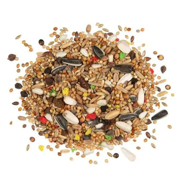 Witte Molen Country Large Parakeet[Weight - 2.5kg]