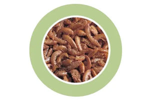 Padovan Gammarus[Volume - 250ml, Weight - 30g]