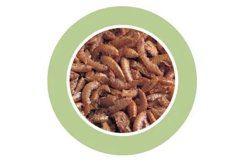 Padovan Gammarus[Volume - 250ml, Weight - 30g]