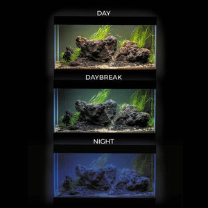 Aquael UltraScape Forest Aquarium[Volume - 90L]