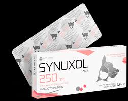 SYNUXOL Amoxicillin and Clavulanic Acid 250 mg 10 tablets