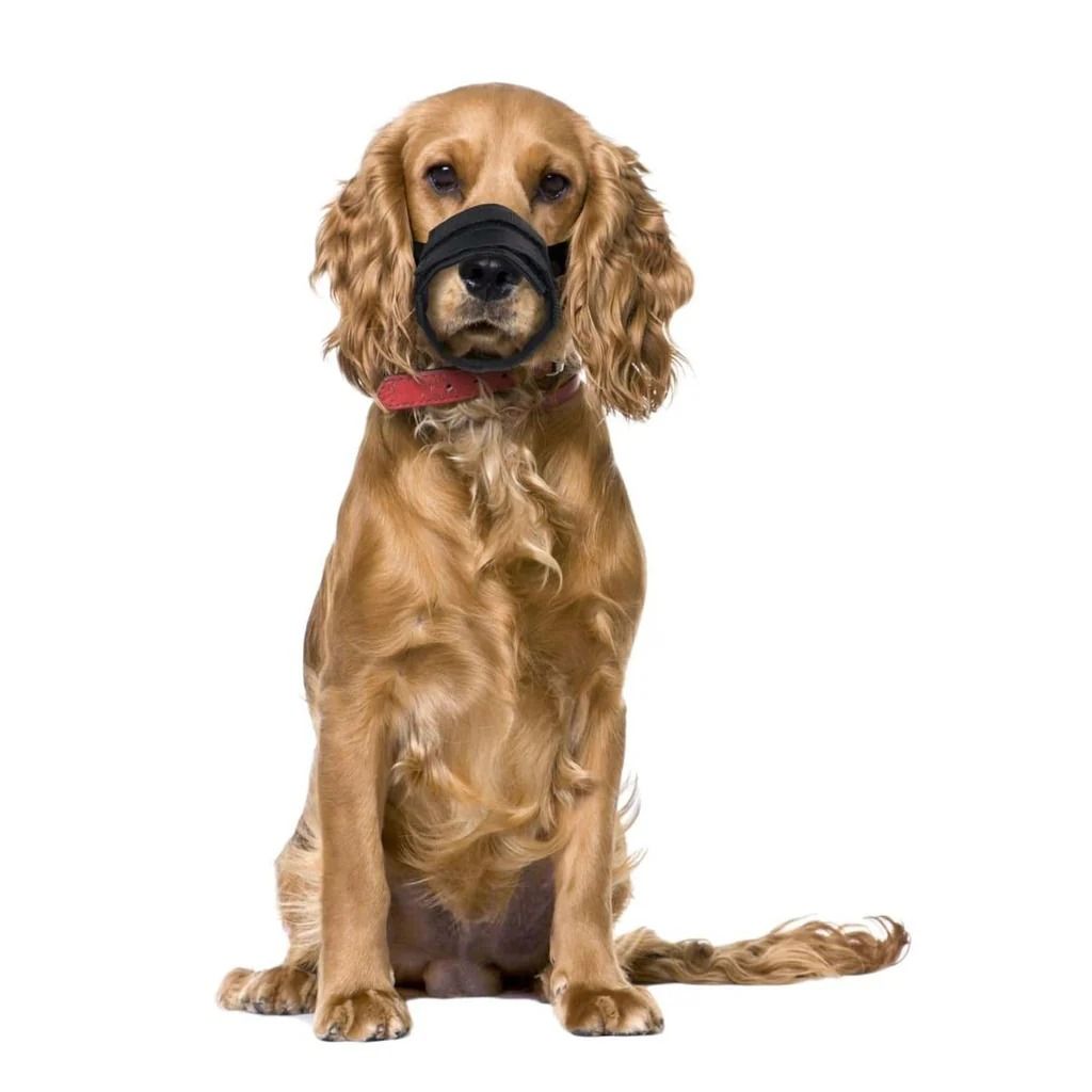 Flamingo Teddie Mesh Dog Muzzle - Medium