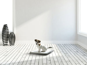 Savic Puppy Trainer Starter Kit - Medium