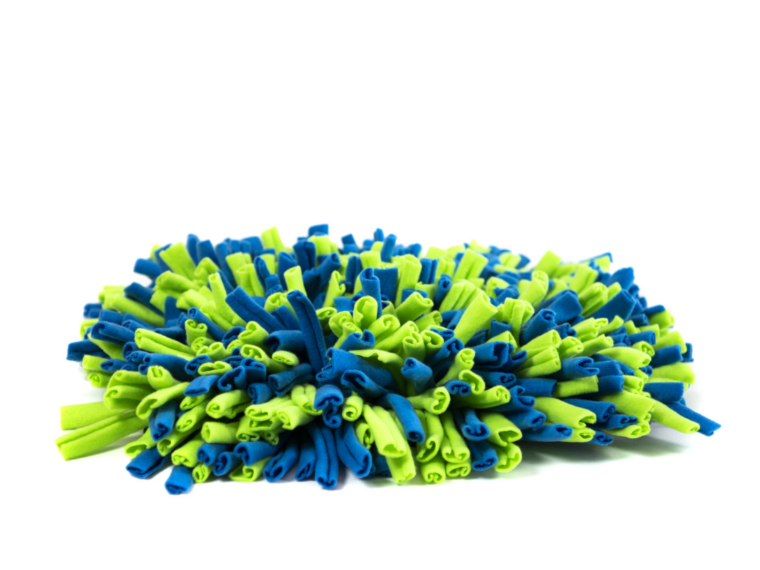 Interactive Sniffing Mat - Connect