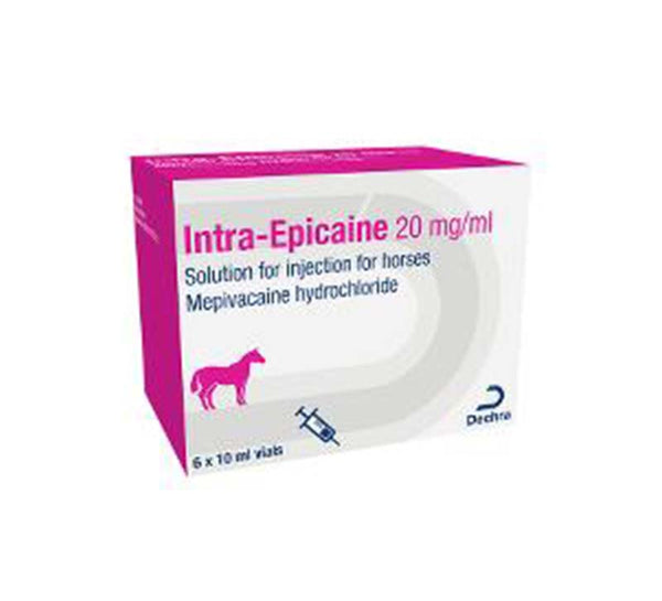 Intra-Epicaine 20mg/ml solution for Injection - Shopivet.com