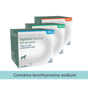 Thyforon Flavoured Tablets 800mg