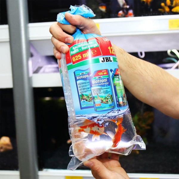 JBL Fish Transport Bags Small (50 units pack) - Shopivet.com