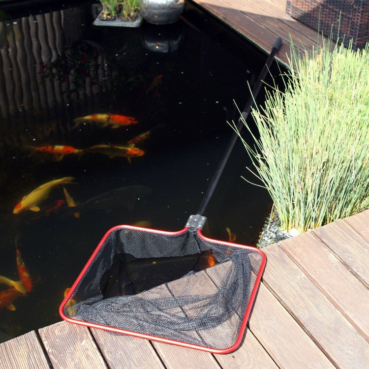 JBL pond net M coarse 50x43x203cm - Shopivet.com