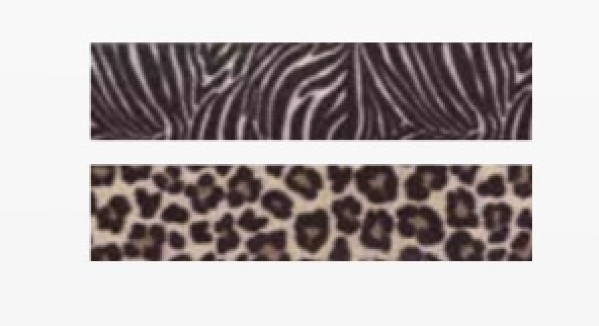 Jungle Nylon Set Dog Leash & Collar, Assorted Colors