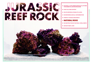 Jurassic Reef Rock Mixed Sizes, 12KG / Box