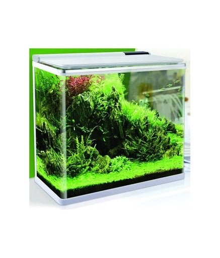 Karis Aqua Haven Premium Aquarium Series[Dimension - 38.5 x 24 x 39.5cm] - Shopivet.com