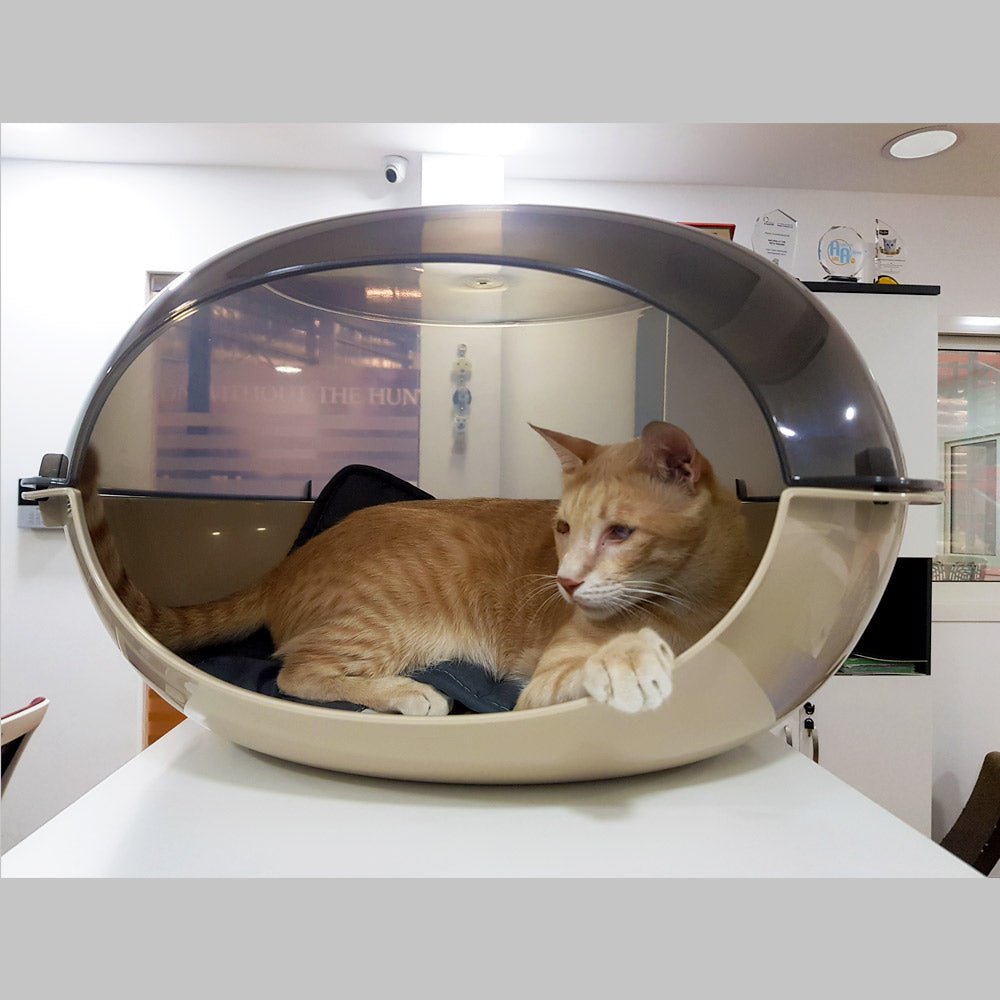 Kennel for Cats – Cuccia Luna Fume - tan - Shopivet.com