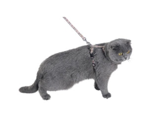 Kilt Cat Harness & Lead - Beige / XS