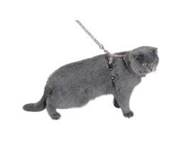 Kilt Cat Harness & Lead / XS - Shopivet.com