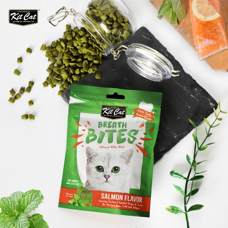 Kit Cat Breath Bites Salmon Flavor 60g - Shopivet.com