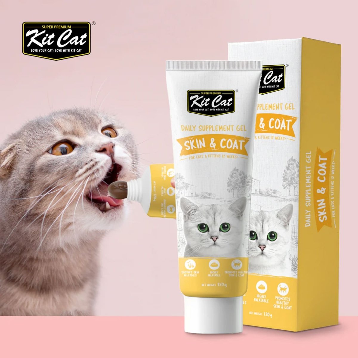 Kit Cat Daily Nutritional Supplement Gel For Cats & Kittens – Skin & Coat (120g) - Shopivet.com