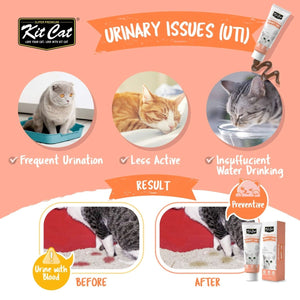 Kit Cat Daily Nutritional Supplement Gel For Cats & Kittens – Urinary Care (120g) - Shopivet.com