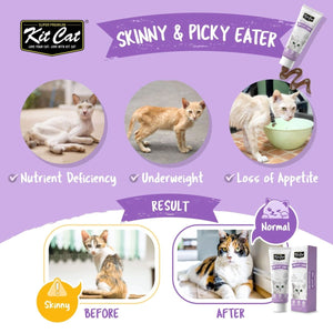 Kit Cat Daily Nutritional Supplement Gel For Cats & Kittens - Weight Gain (120g) - Shopivet.com
