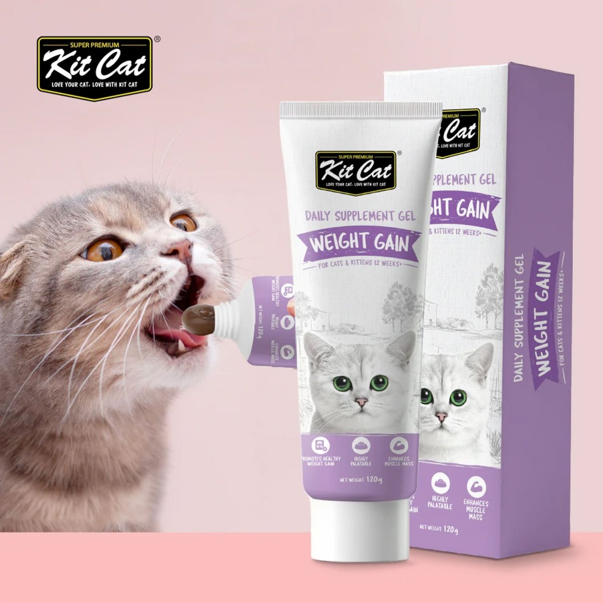 Kit Cat Daily Nutritional Supplement Gel For Cats & Kittens - Weight Gain (120g) - Shopivet.com