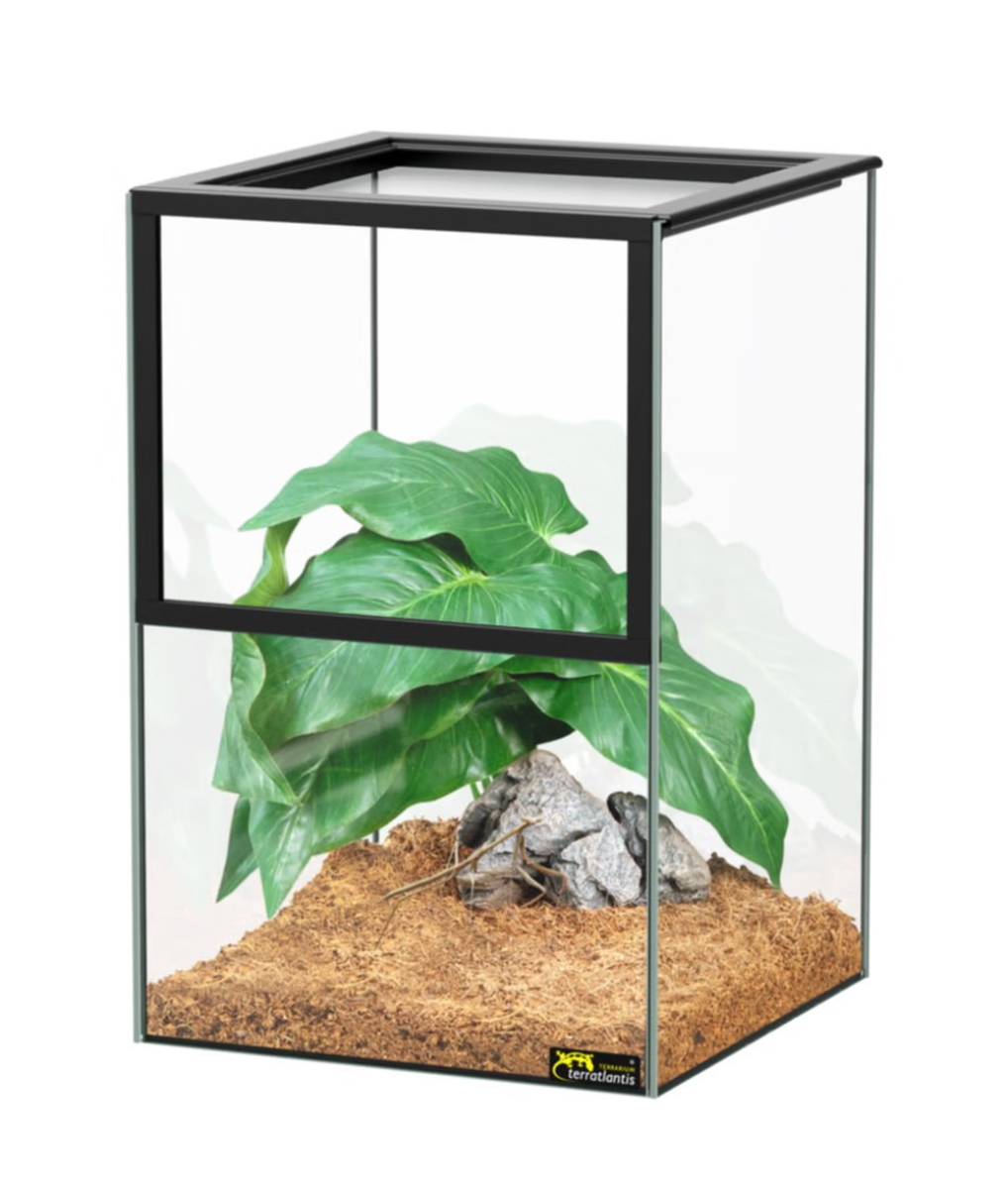 Kit Insect 20 x 20 x 30 cm, Black