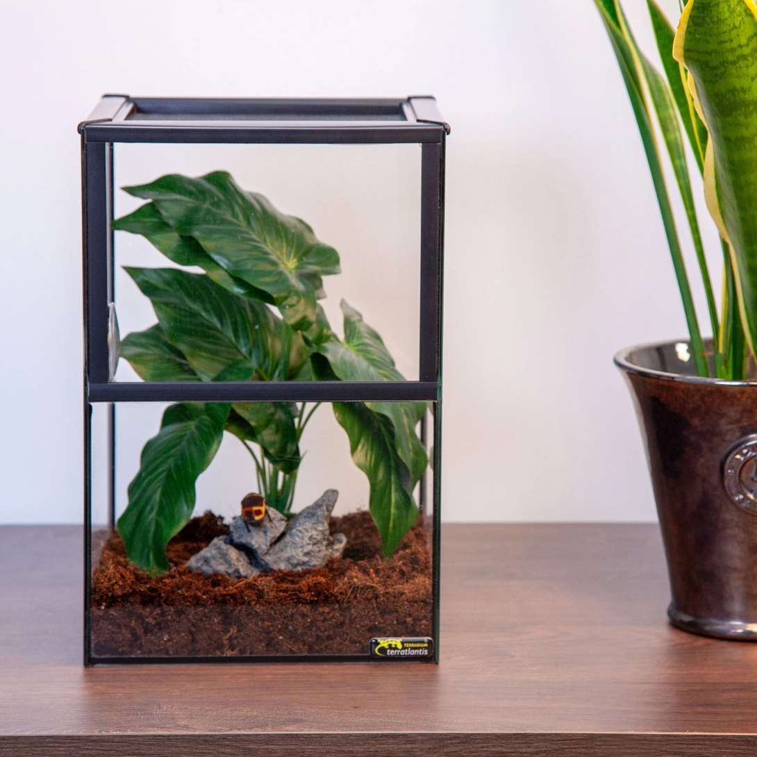 Kit Insect 20 x 20 x 30 cm, Black