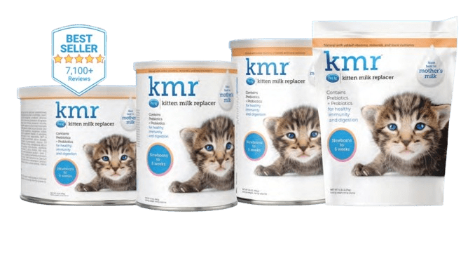 KMR kitten milk replecer 170g - Shopivet.com