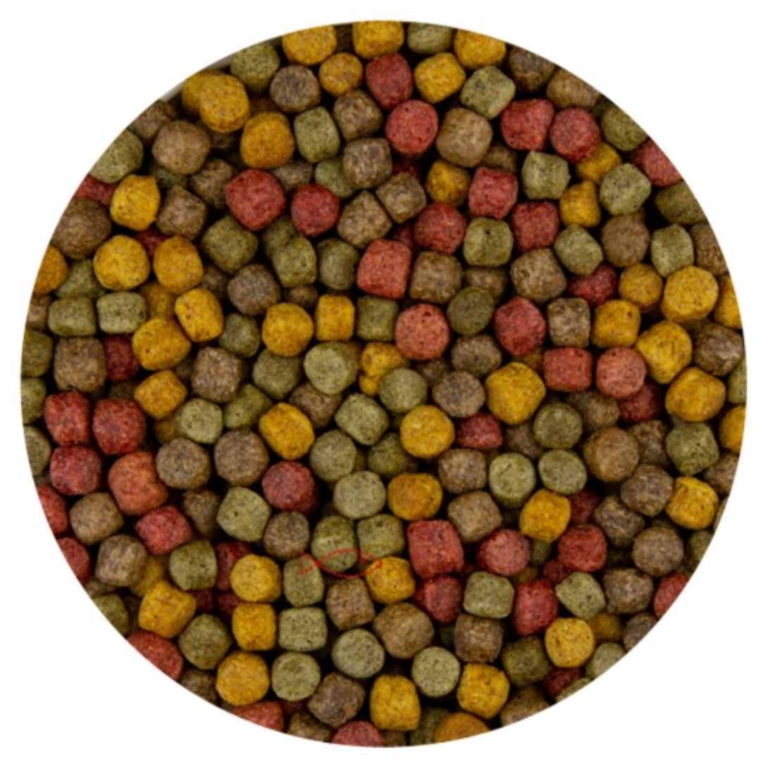 Koi all round mix 6 mm (Kwartet Mix) 15 KG