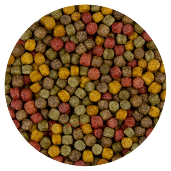 Koi all round mix 6 mm (Kwartet Mix) 15 KG