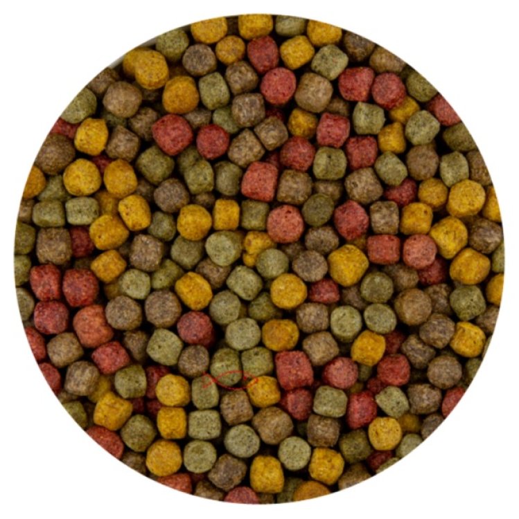 Koi all round mix 6 mm (Kwartet Mix) 15 KG - Shopivet.com