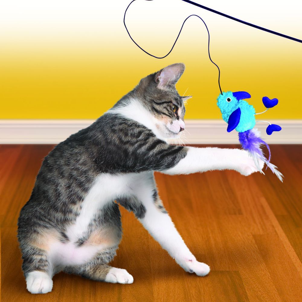 Kong Active Feather Teaser Wand Cat Toy - Shopivet.com