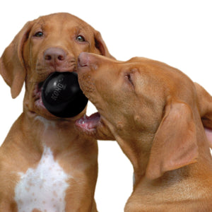 Kong Ball Extreme Dog Toy - M/L - Shopivet.com