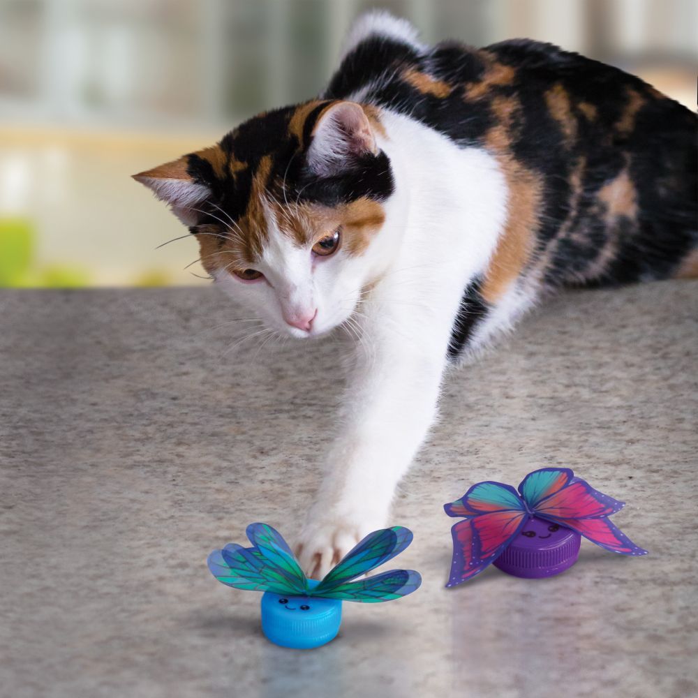 Kong Cat Active Capz Cat Toy 2pk - Shopivet.com
