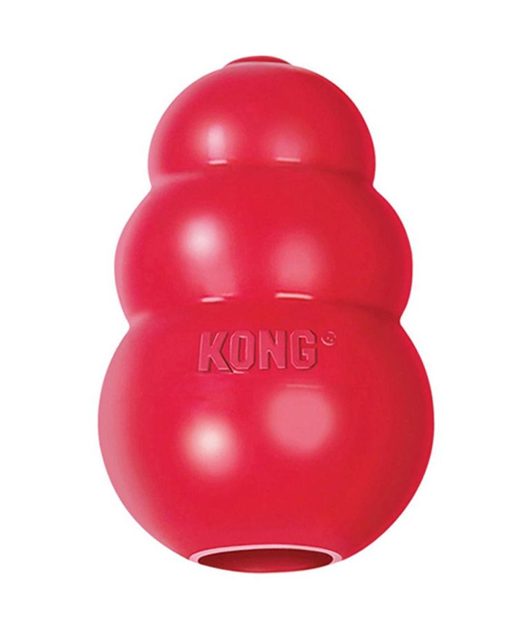 Kong Classic Dog Toy - M - Shopivet.com