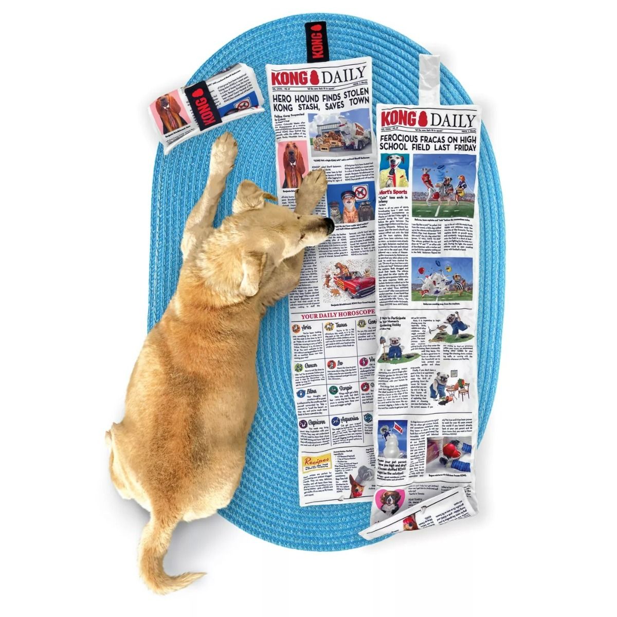 Kong Daily Newspaper Cat Toy XL - XL - Shopivet.com