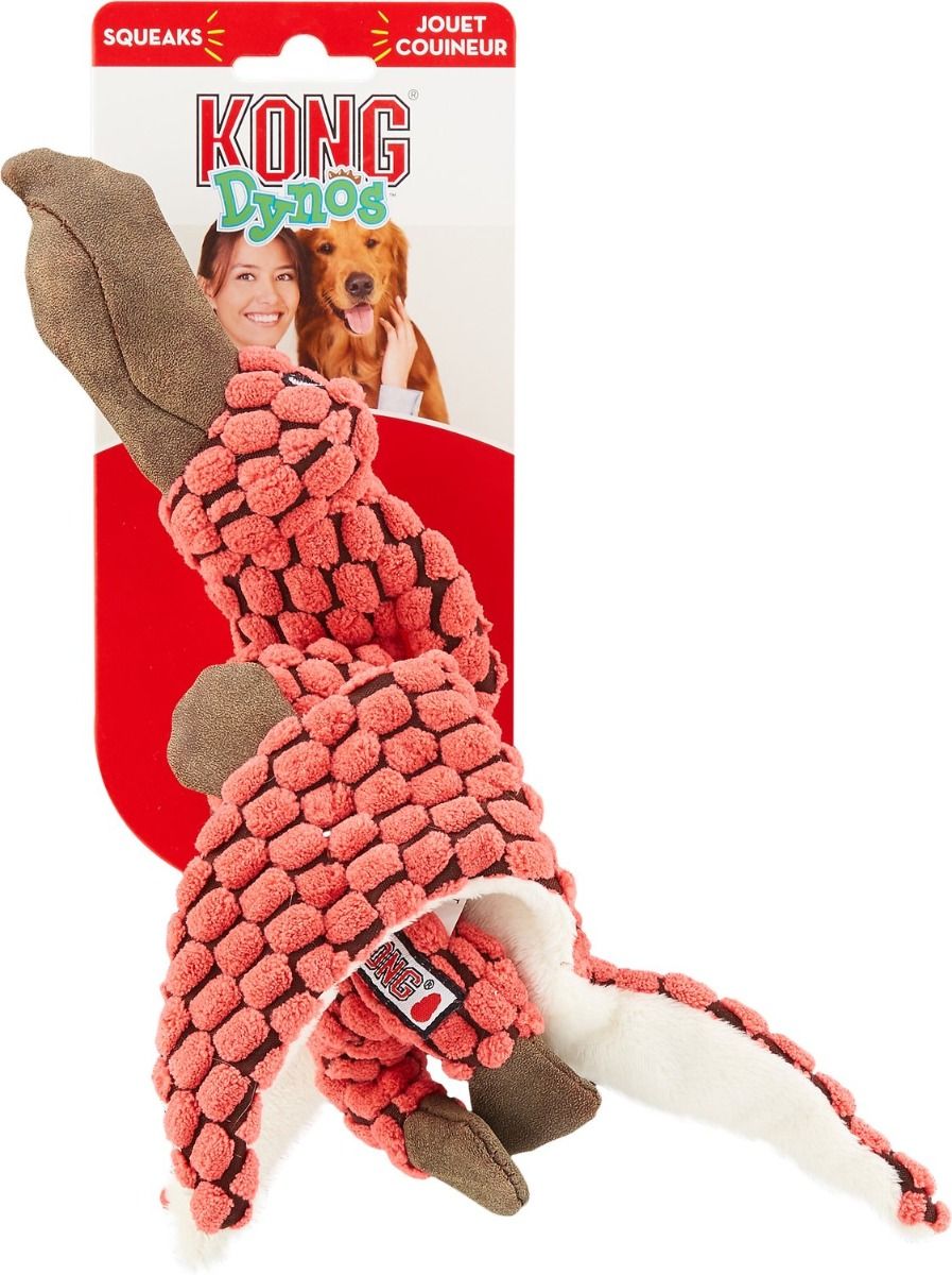 Kong Dynos Pterodactyl Coral Dog Toy - LARGE - Shopivet.com