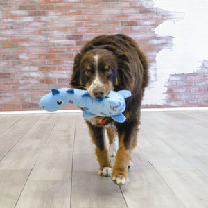 Kong Dynos Roars Dog Toy Blue - Blue M/L - Shopivet.com