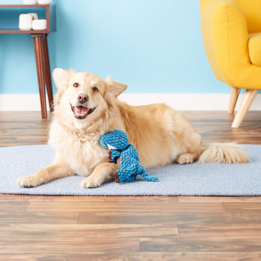 Kong Dynos T - Rex Blue Dog Toy - LARGE - Shopivet.com
