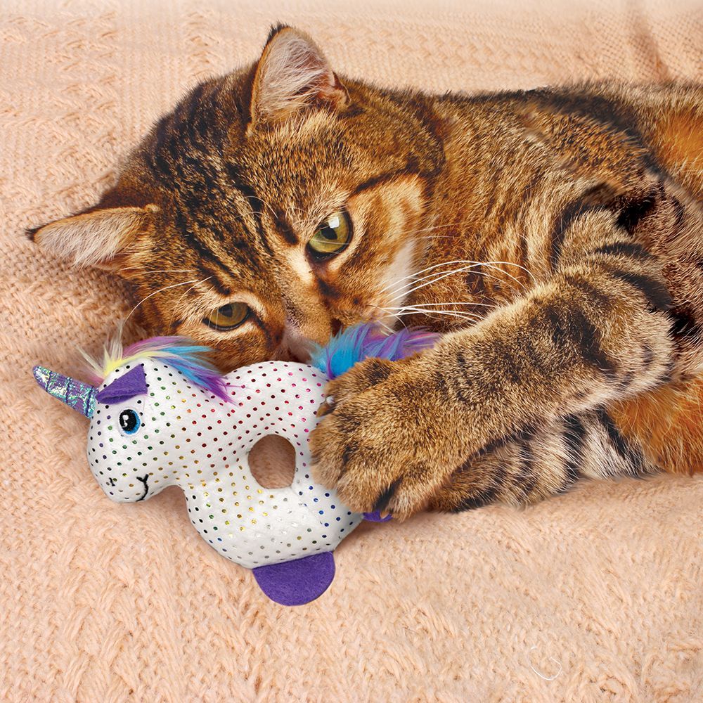 Kong Enchanted Characters Assorted Cat Toy - Shopivet.com