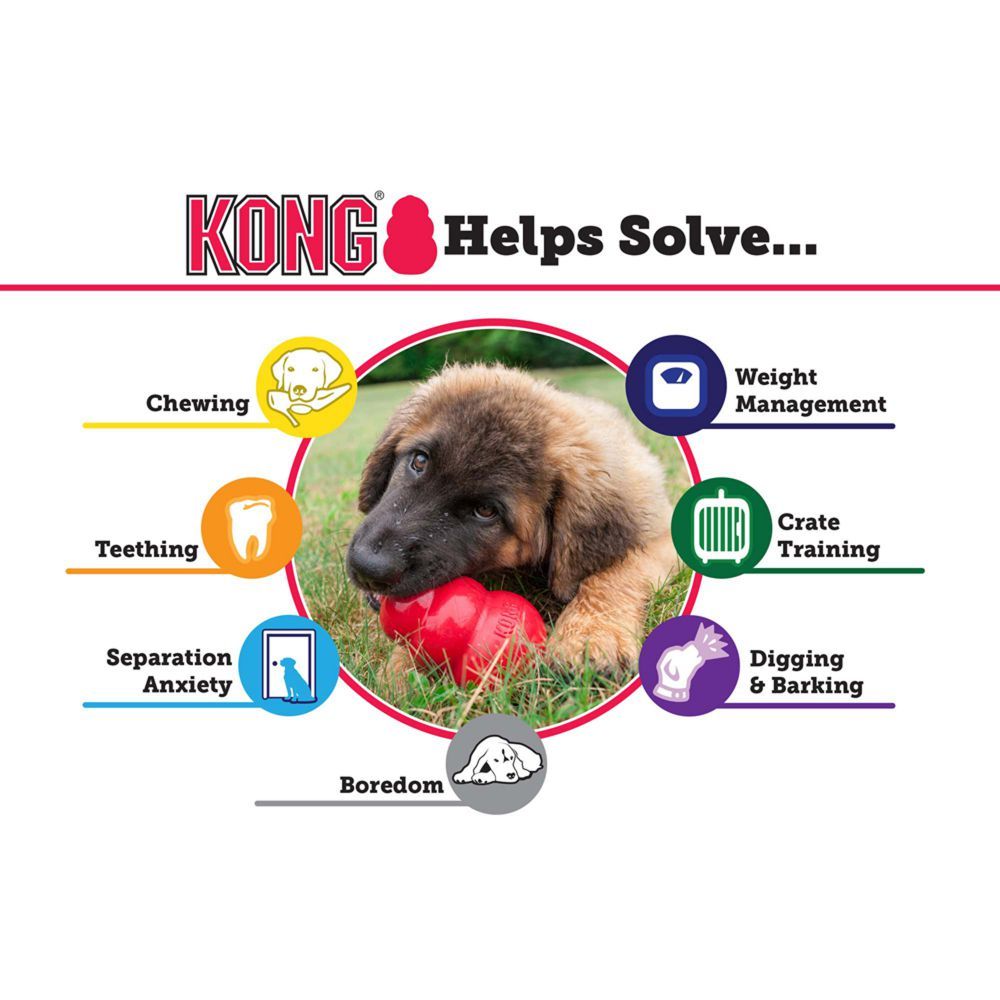 Kong Extreme Dog Toy - L - Shopivet.com