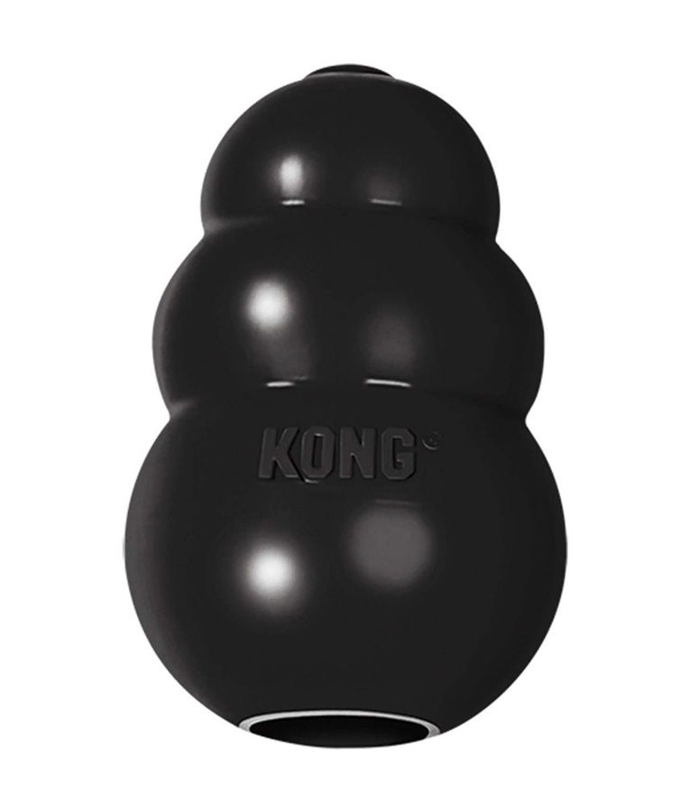 Kong Extreme Dog Toy - L - Shopivet.com