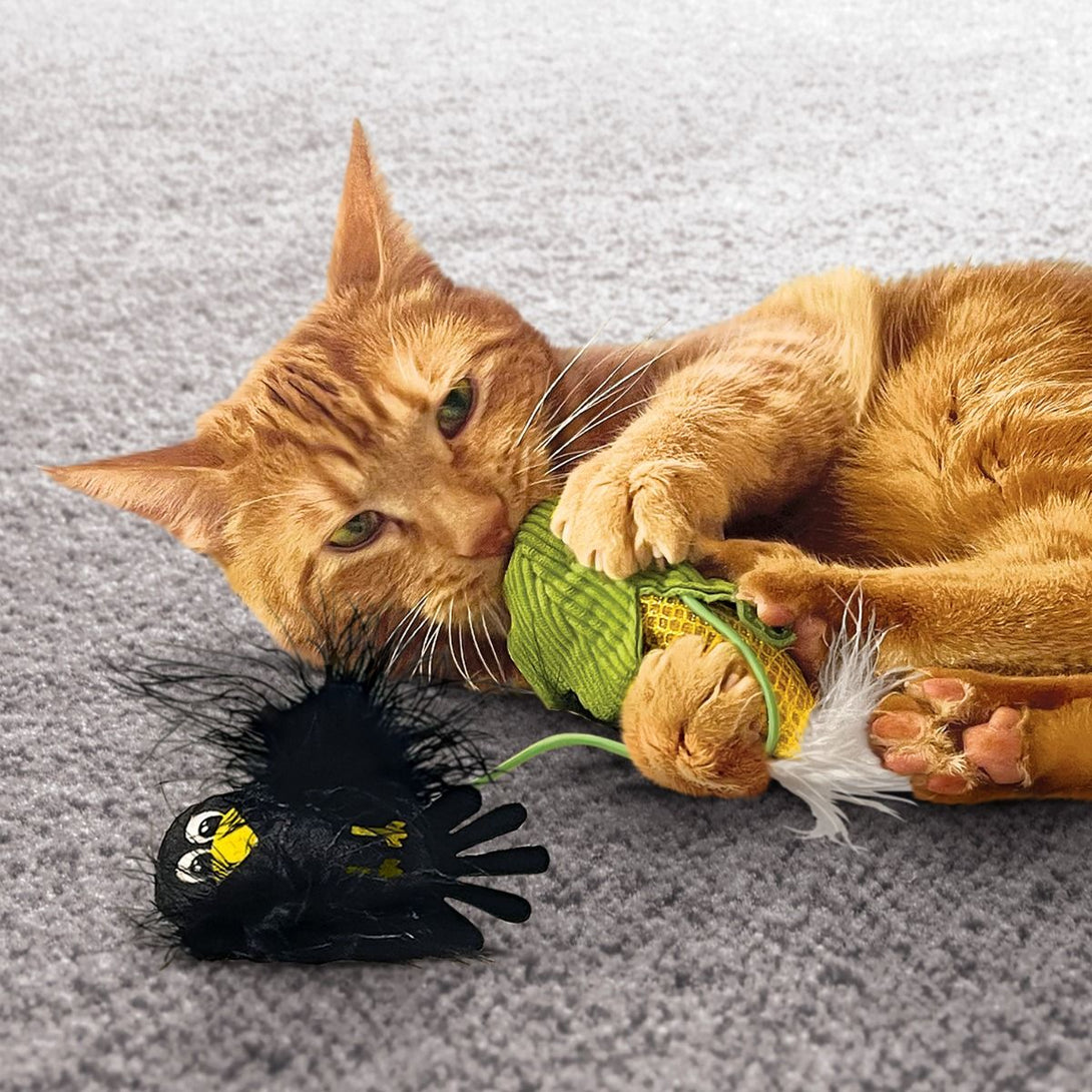 Kong Flingaroo Corny Plush Feather Cat Toy - Shopivet.com
